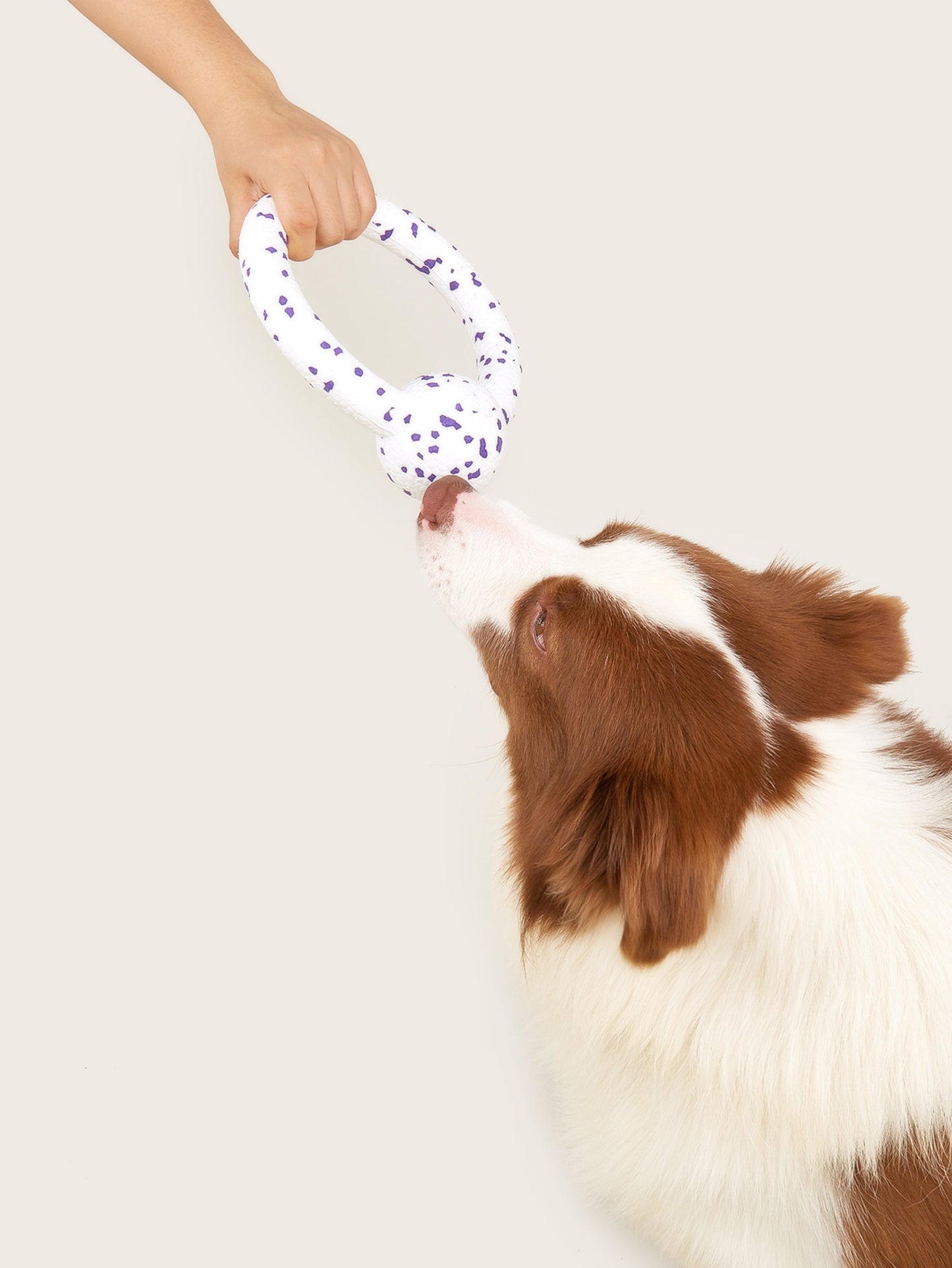 FOFOS Durable puller dog toy-W/P