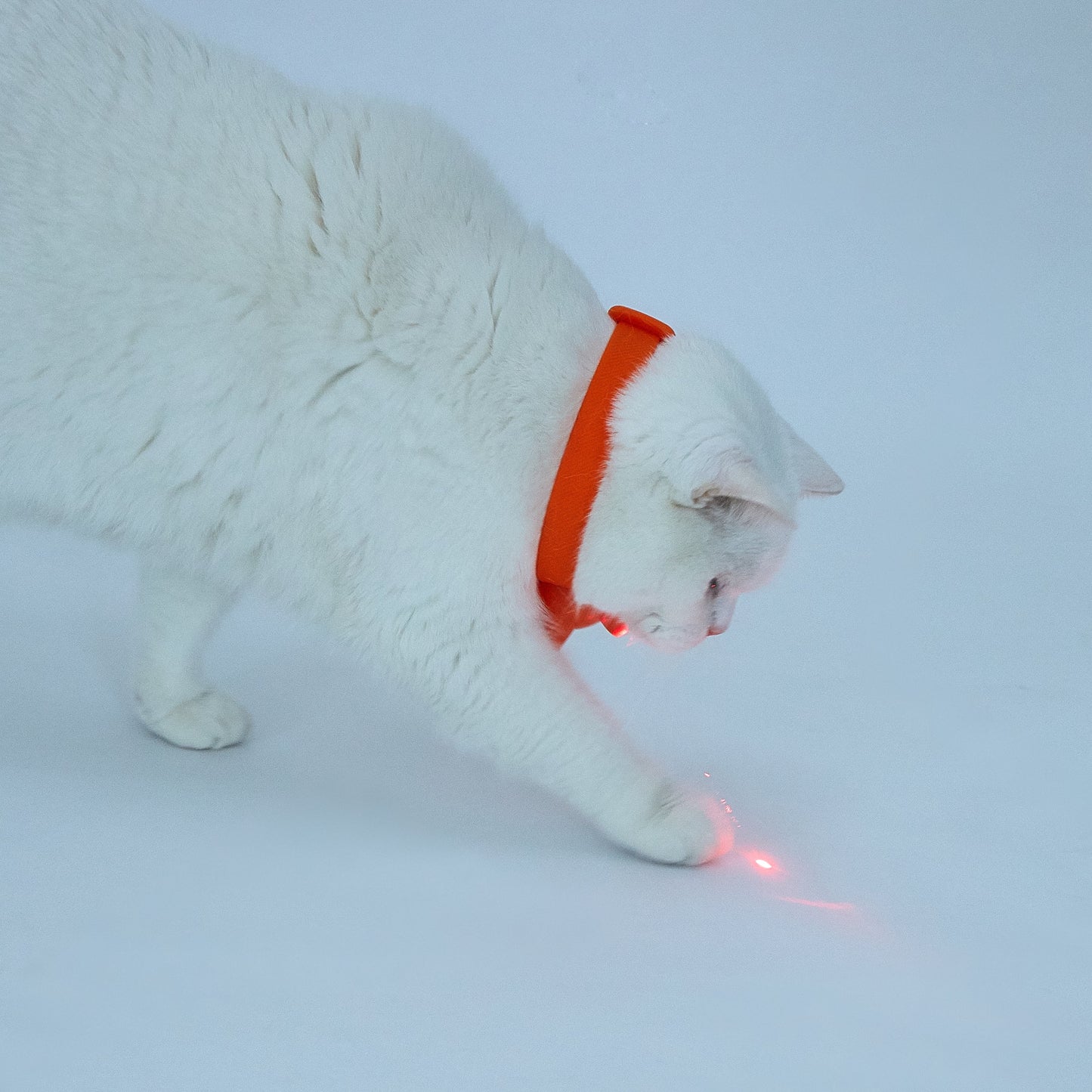 FOFOS cat laser collar toy rechargeable