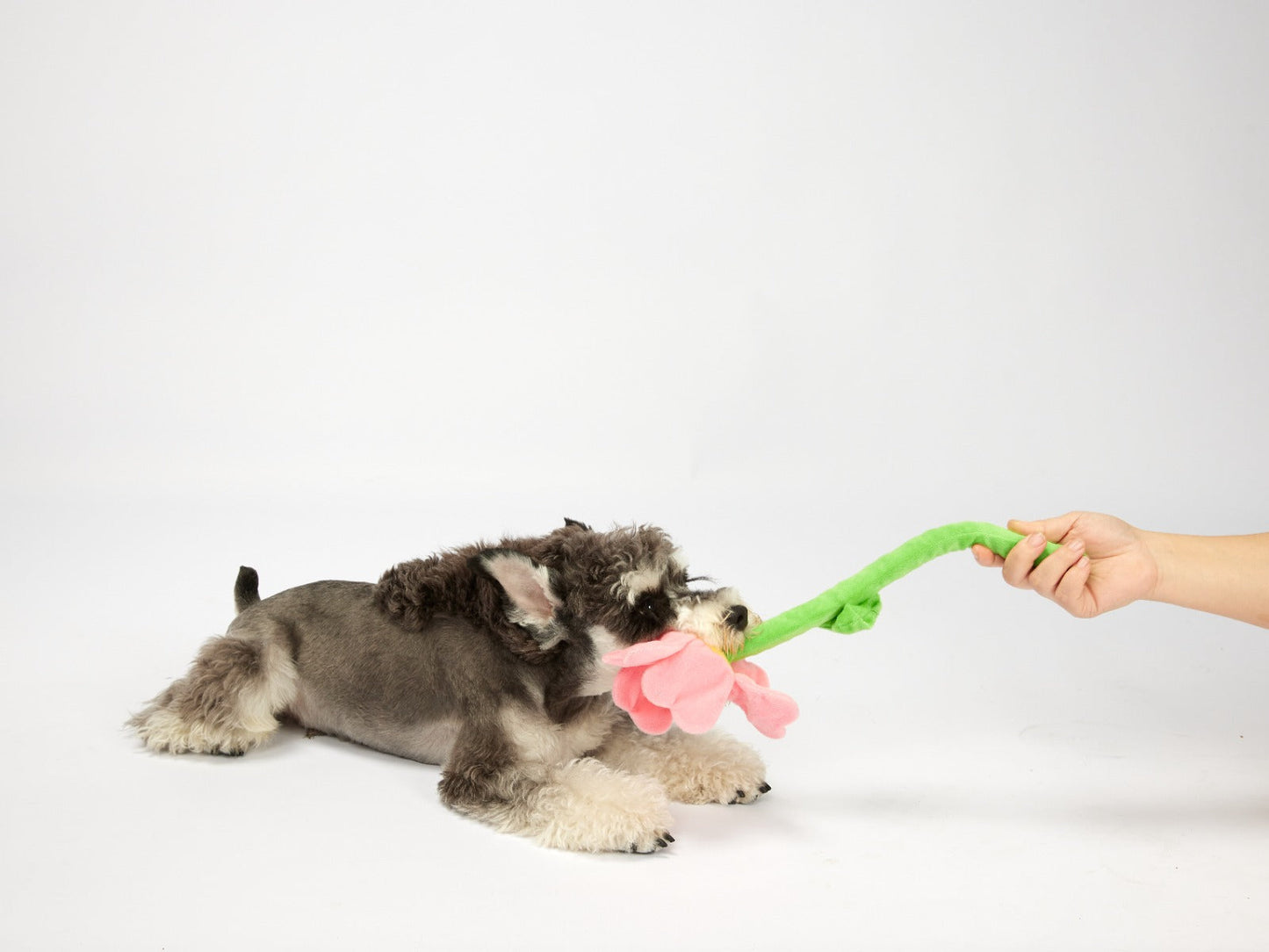 FOFOS pink flower crinkle rope dog toy