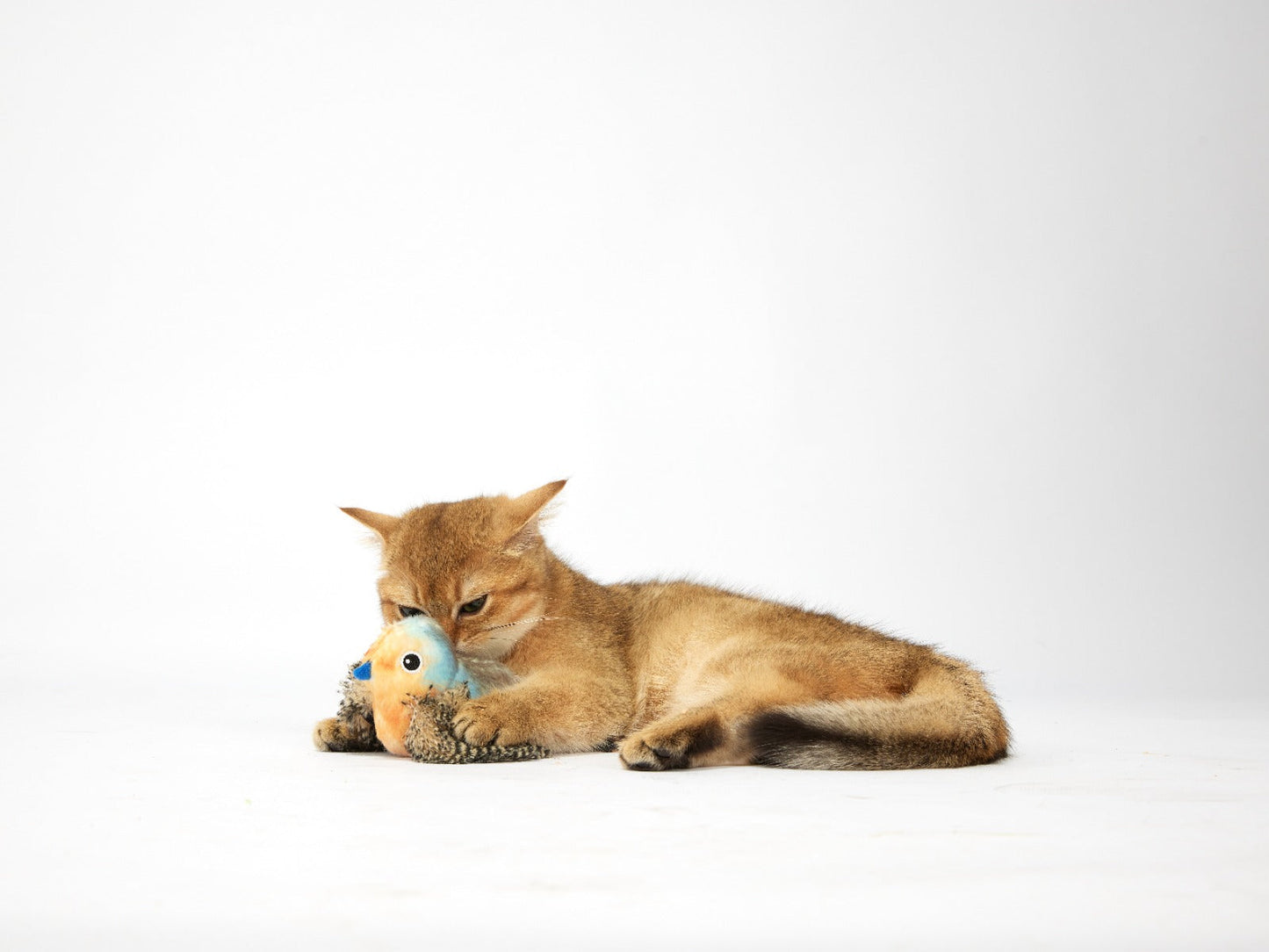 FOFOS sound chip parrot with catnip balls