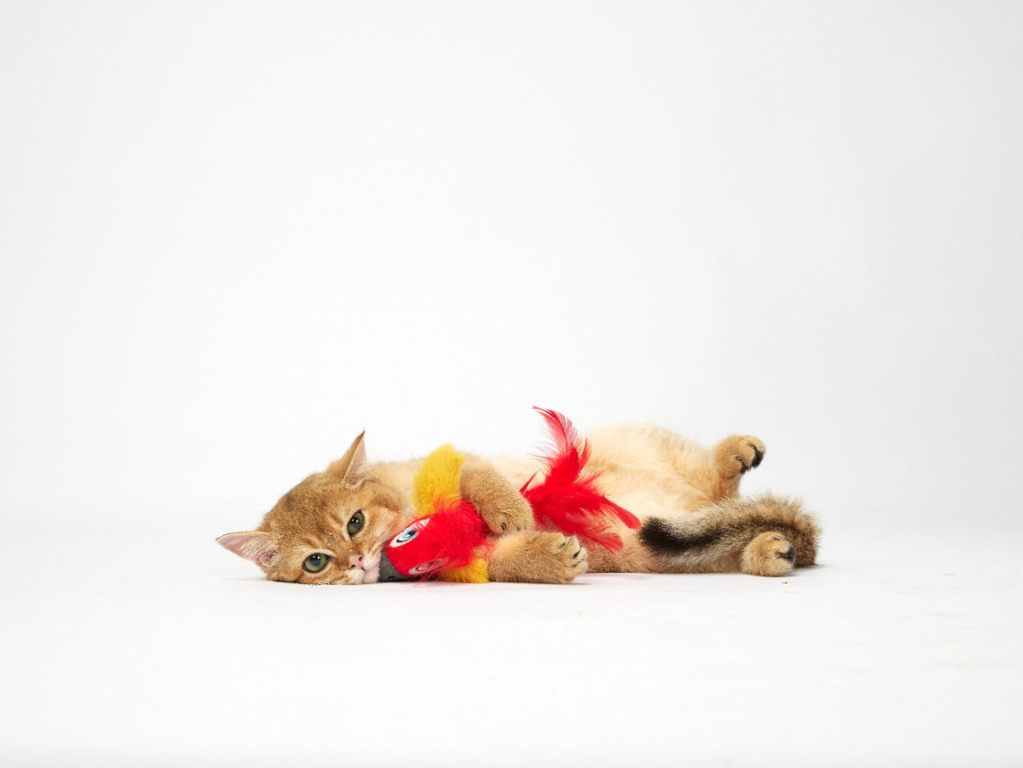 FOFOS sound chip parrot with catnip balls