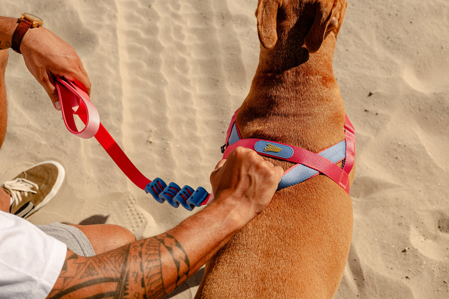 Adjustable Gentle Pull Dog Harness