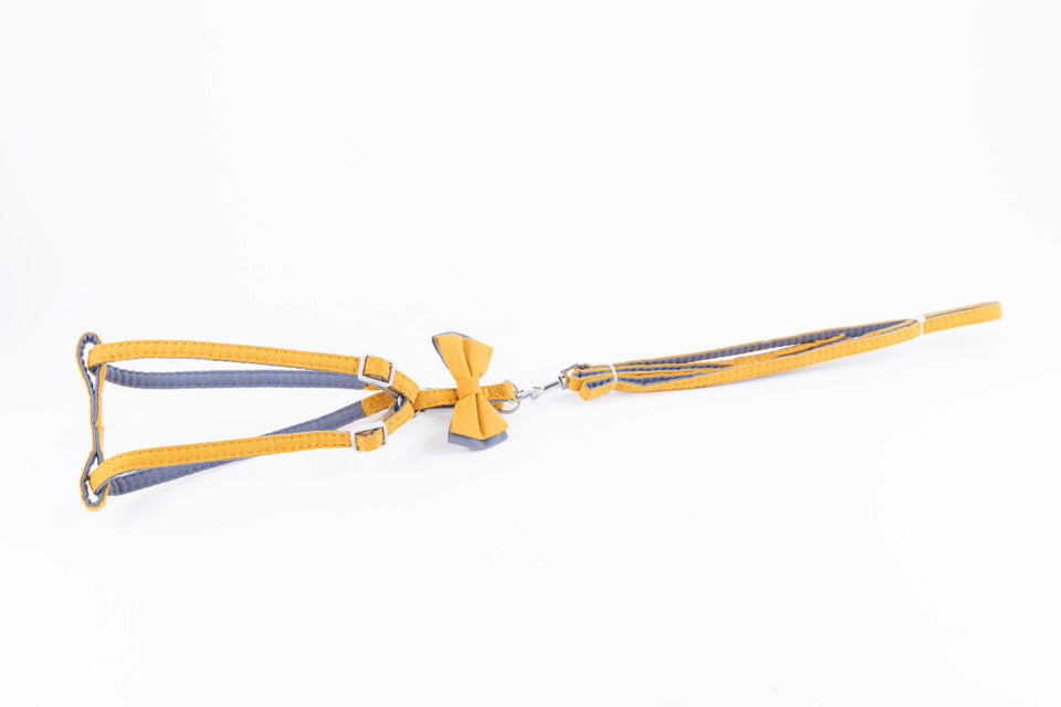 Pechera amarilla para gatos