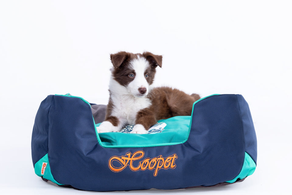 Cama super comoda para perros Azul con verde