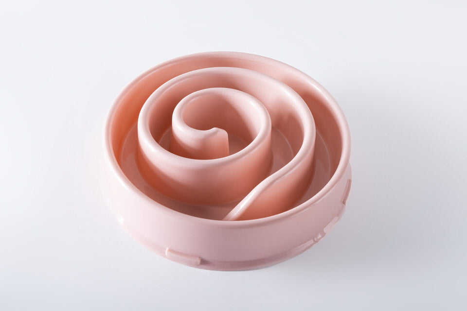 Slow food feeder Snail for pets
