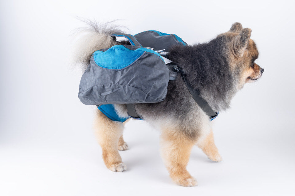 Dog Self BackPack