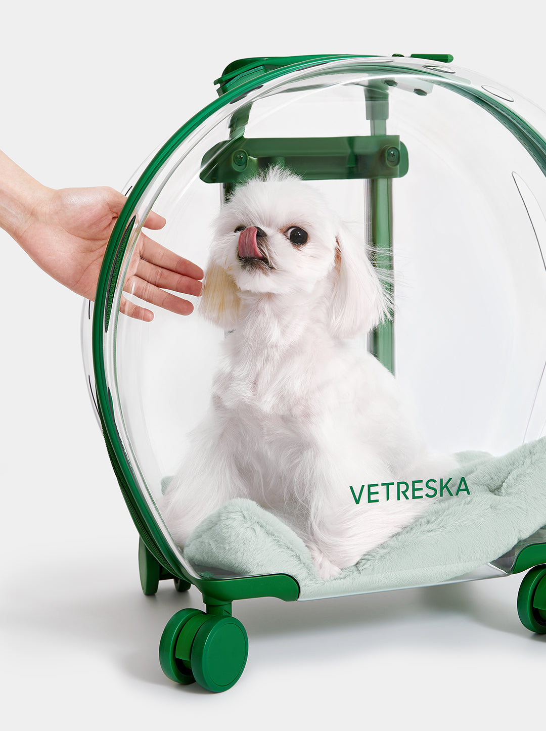 Transportador de Burbuja Transparete Verde para Mascotas de Vetreska