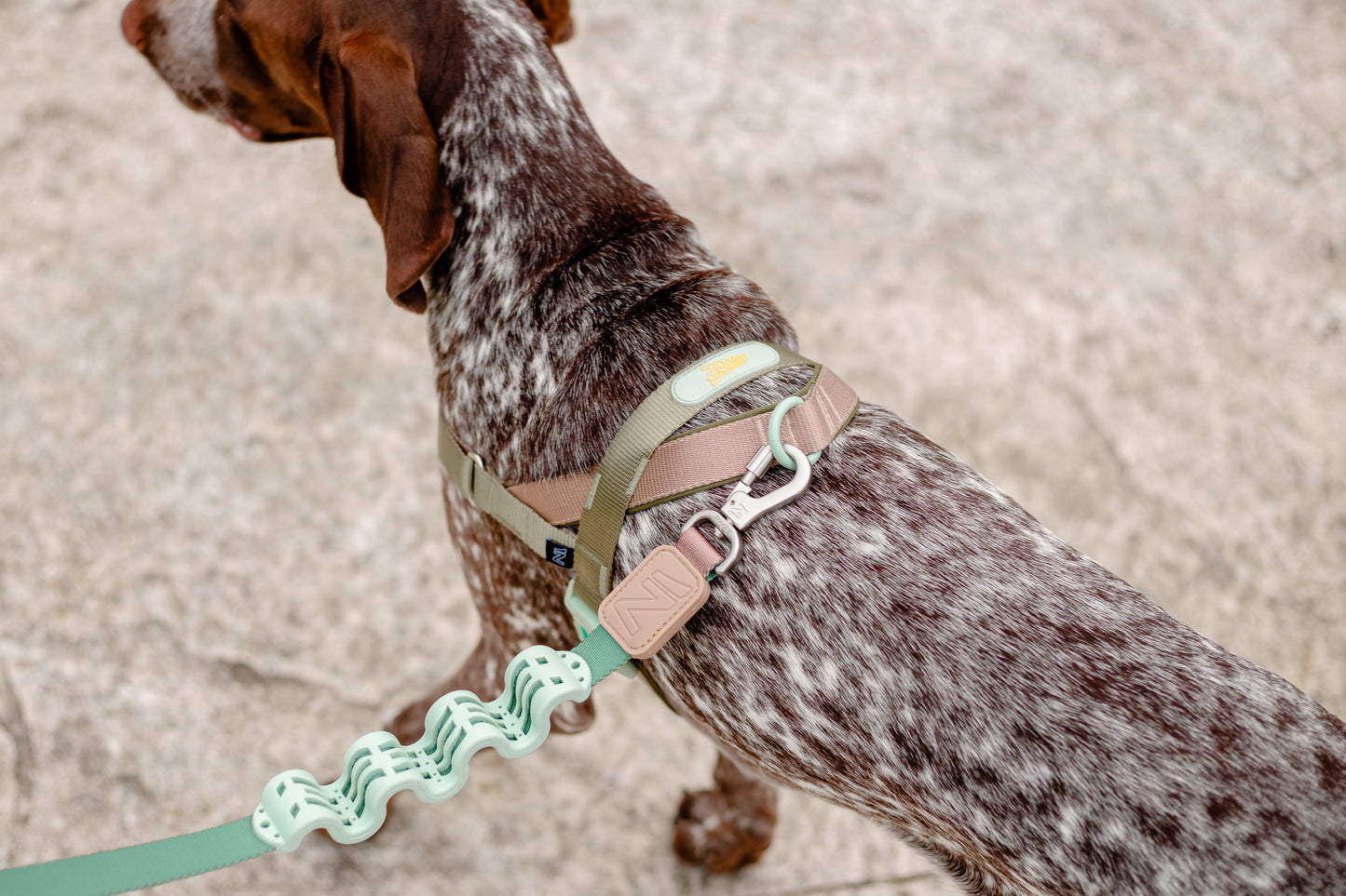 Adjustable Gentle Pull Dog Harness