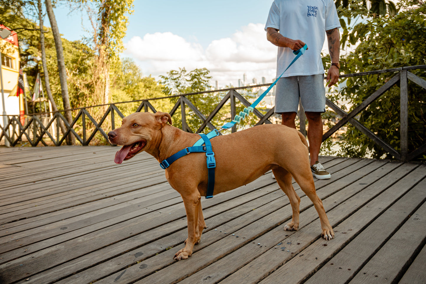 Adjustable Gentle Pull Dog Harness