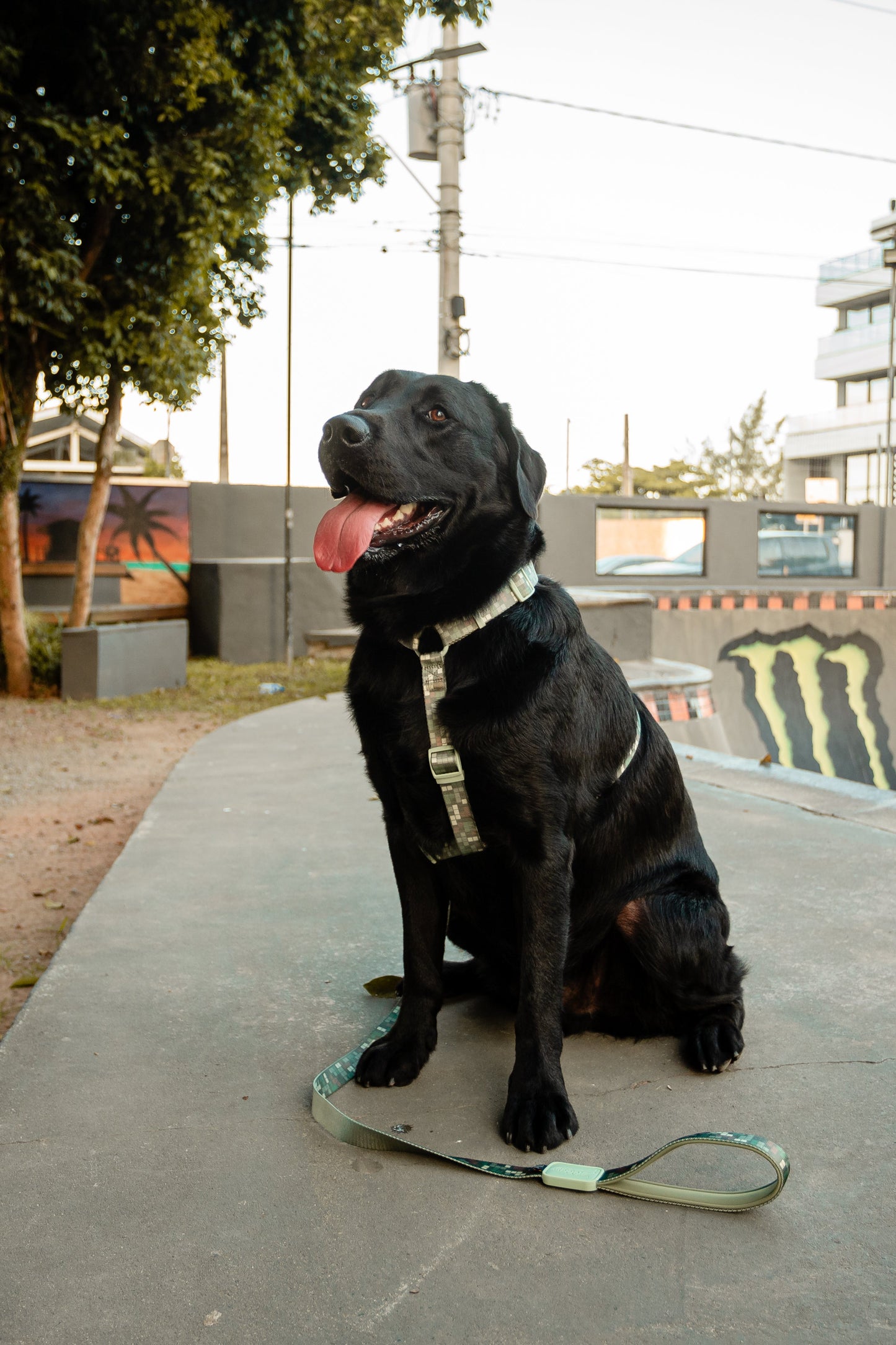 Adjustable Dog Collar - Mint green Tetris