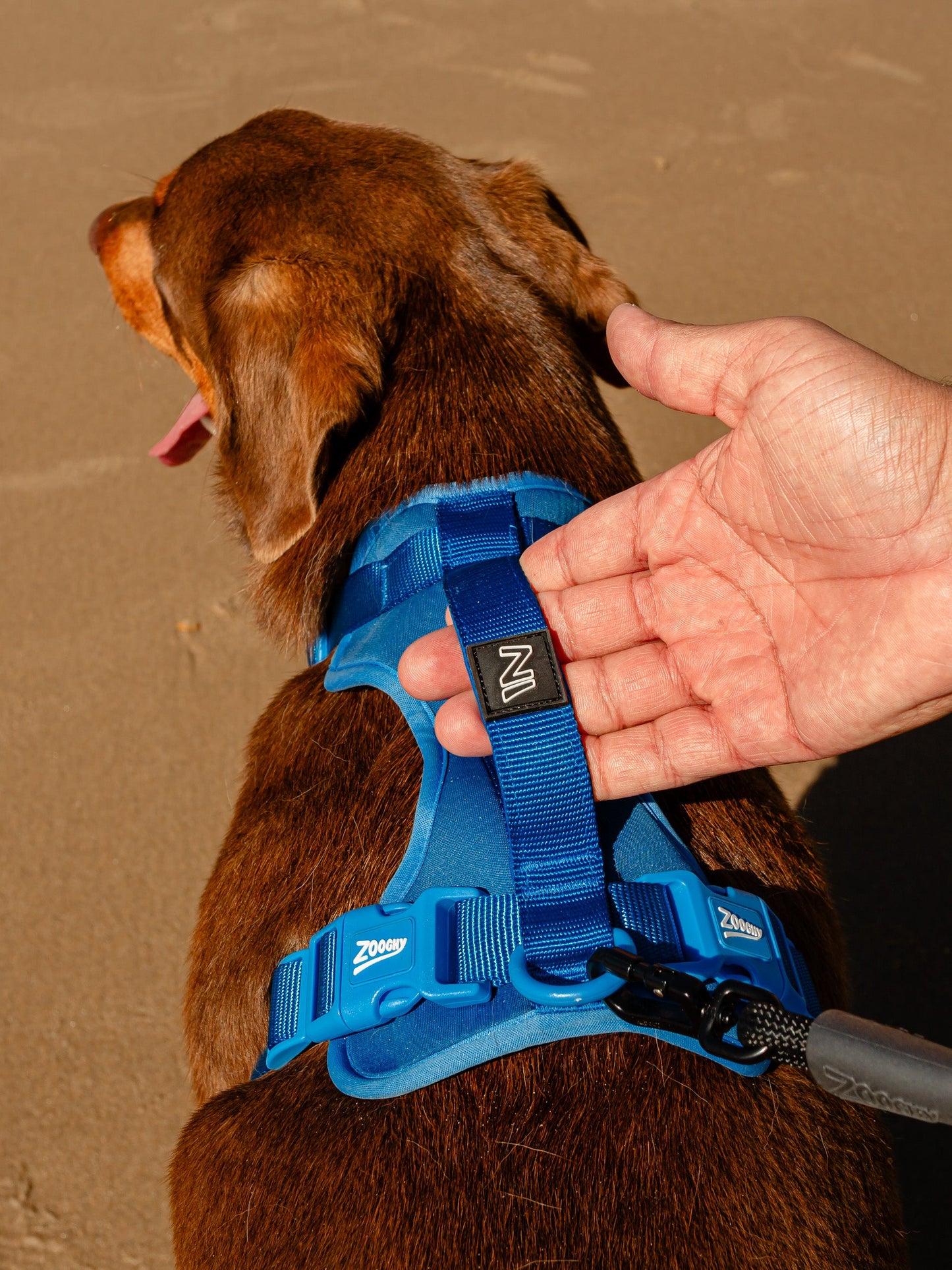 Adjustable Neo Prene Comfort Harness