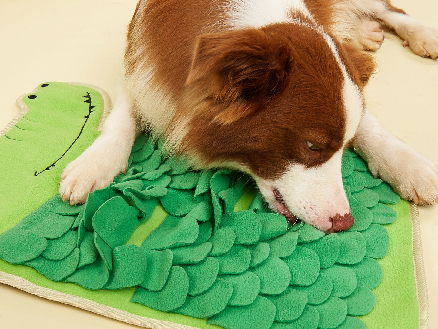 FOFOS Snuffle mat- Fox