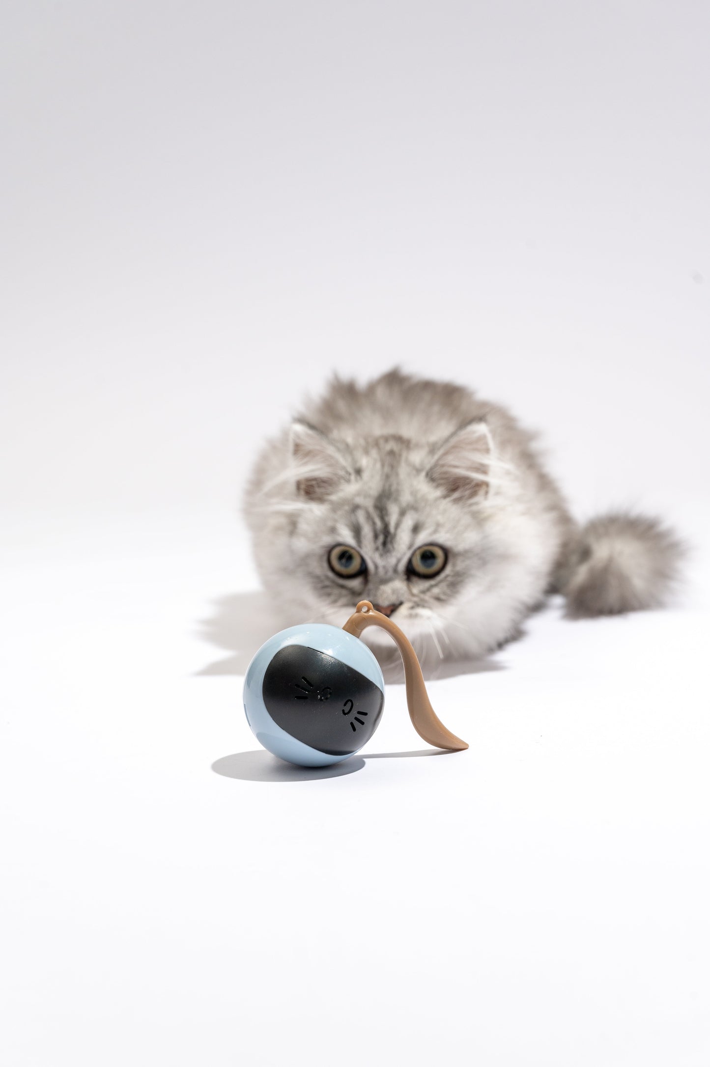 FOFOS Magic Ball Cat Toy