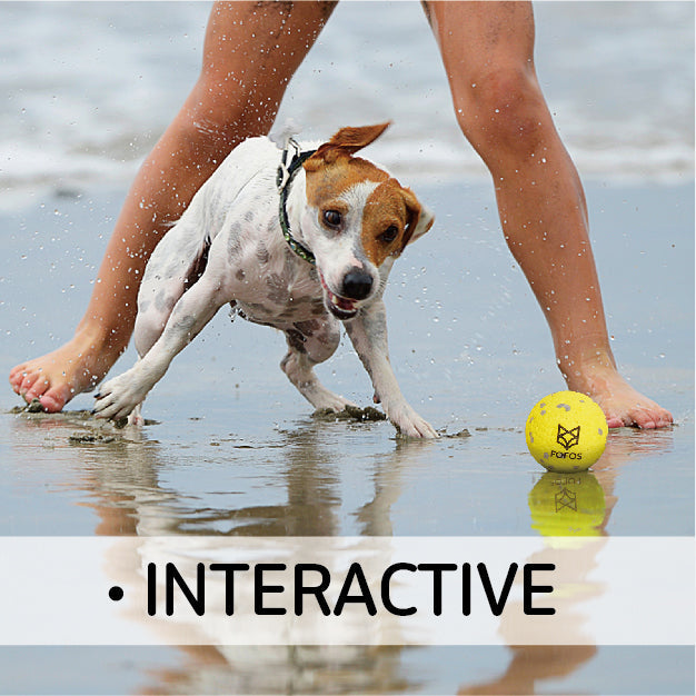 FOFOS Ultra-Durable Dog Ball-W/P