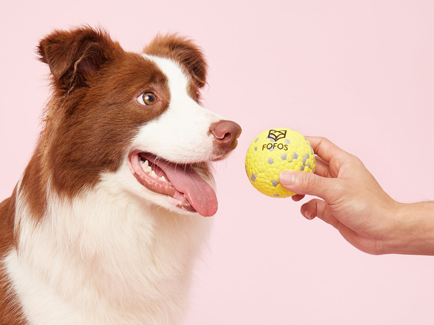 FOFOS Ultra-Durable Dog Ball-W/P