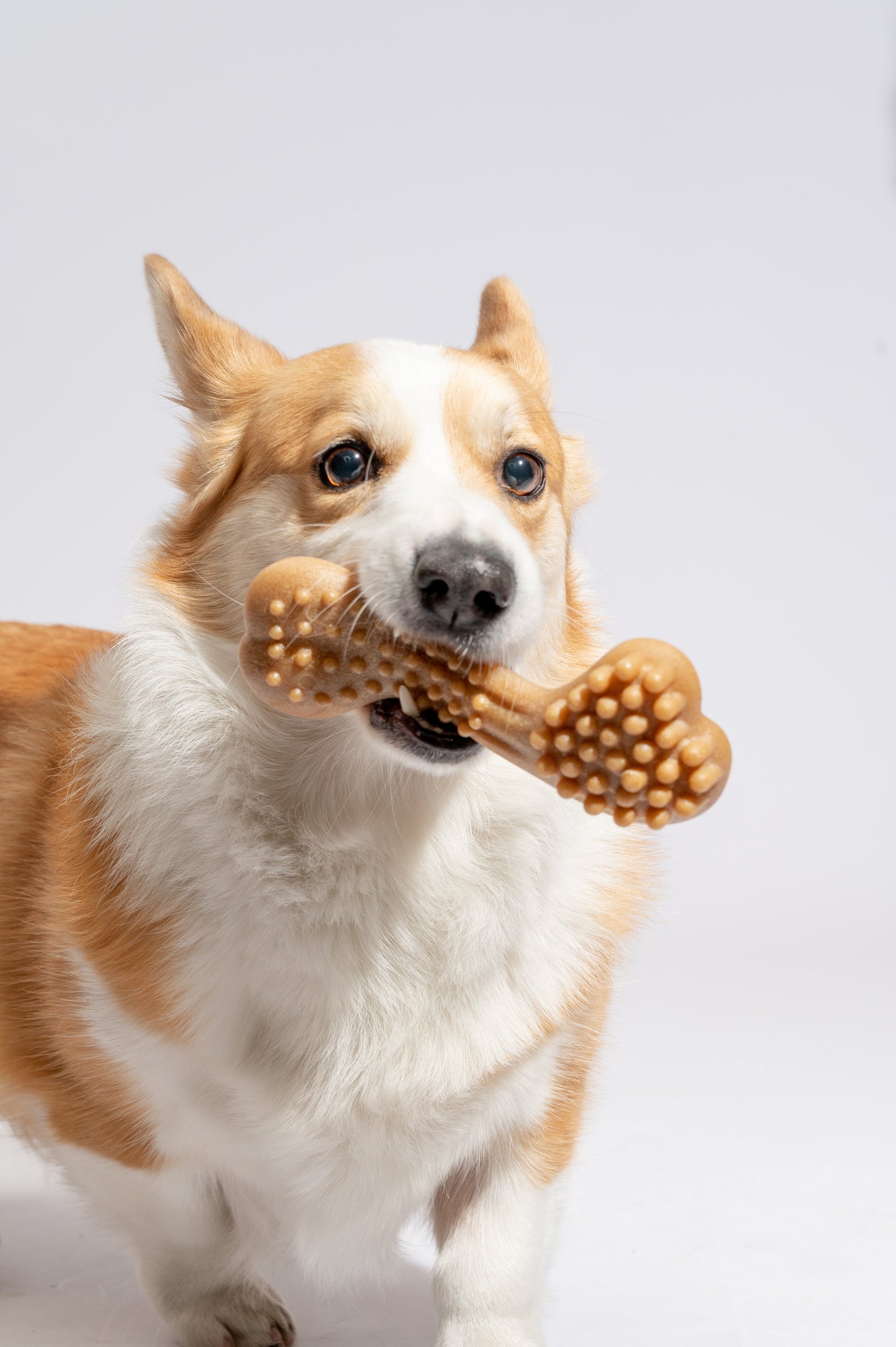 FOFOS Woodplay Bone