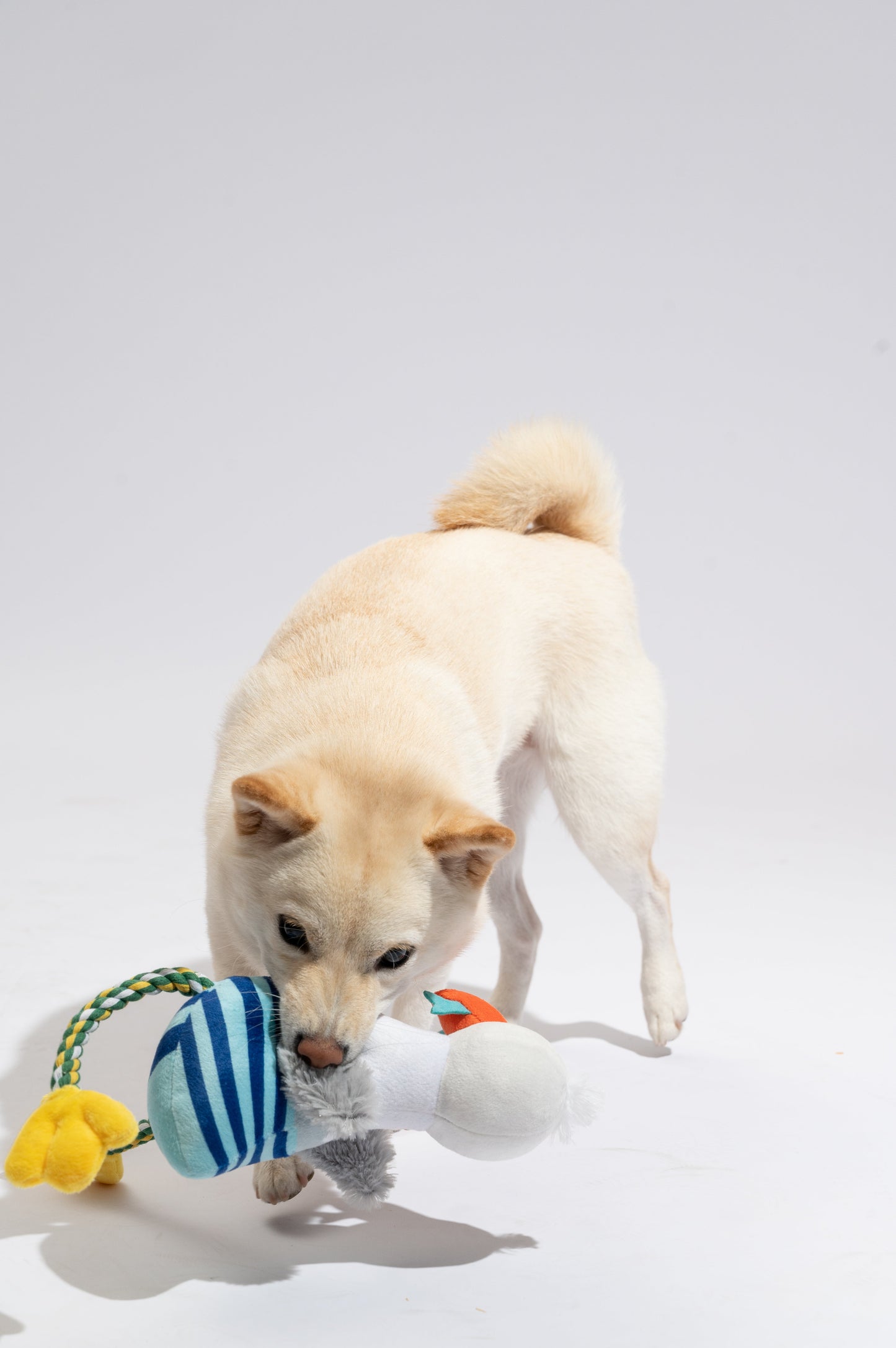 Fofos Juguete Perro coleccion Marina