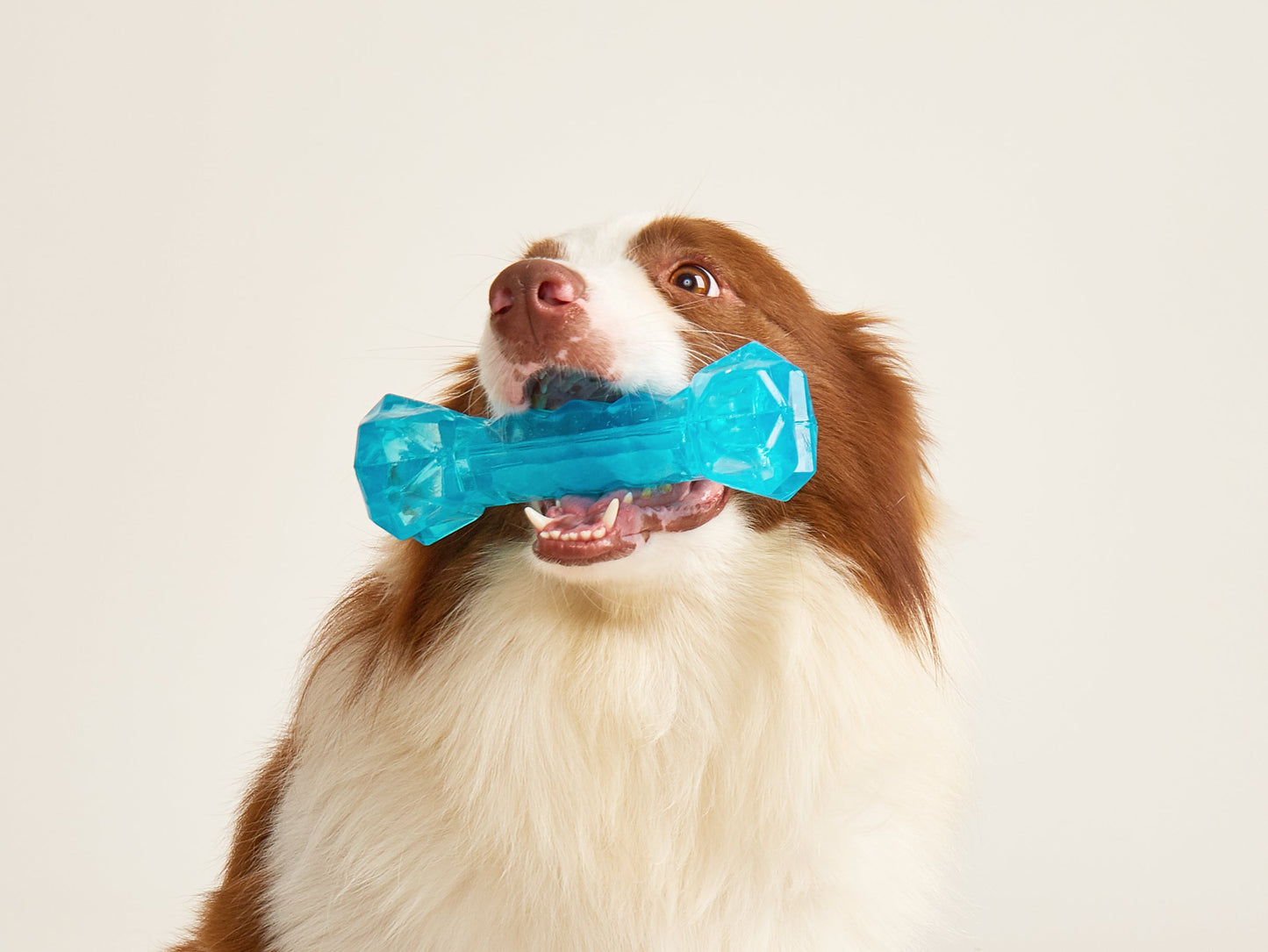 FOFOS Cooling Bone