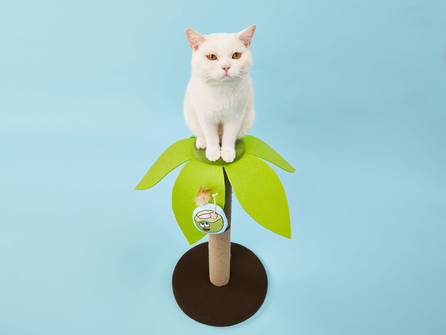 FOFOS Coconut Cat Scratcher