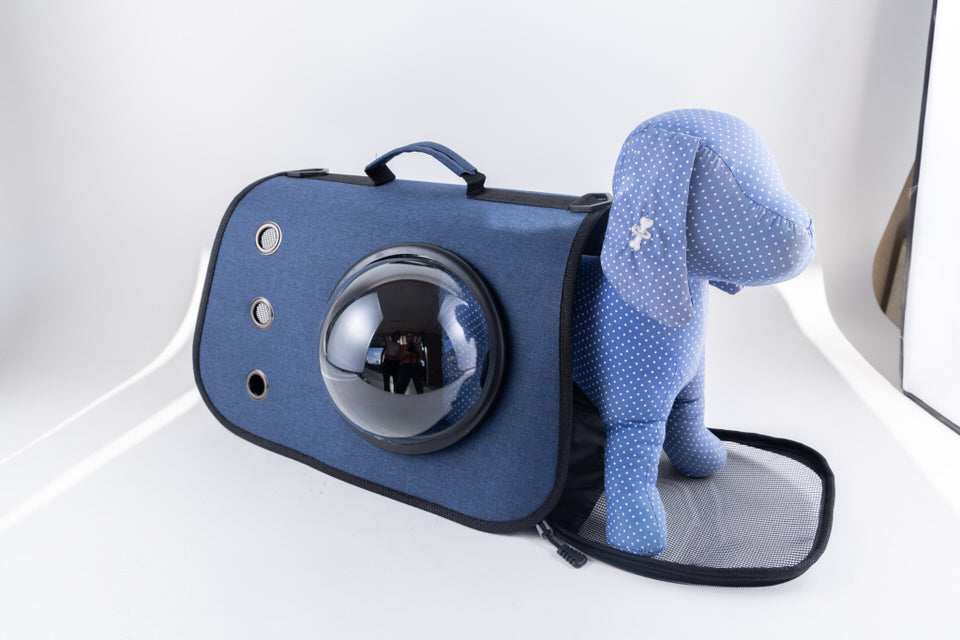 Pet carrier with bubble