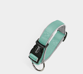 Collar perfecto para tus perros suave con la piel