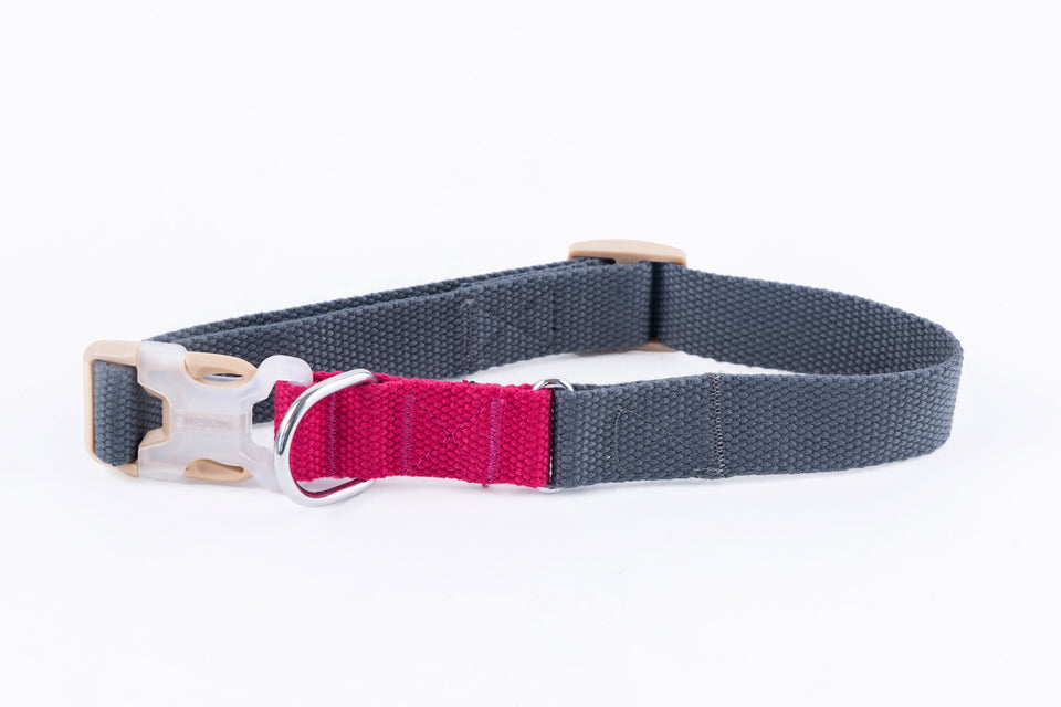 Collar para perros extendido