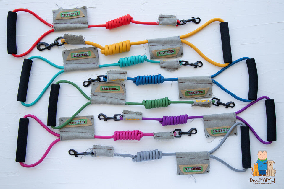 Pechera con correa TOuchDog variedad de colores