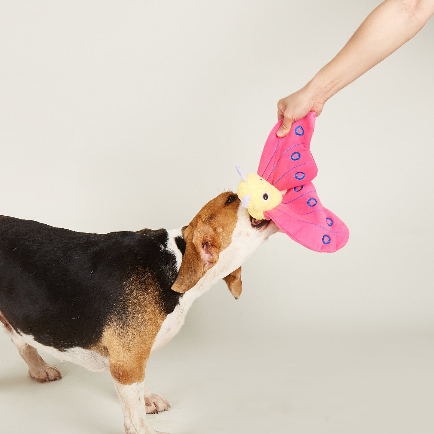 FOFOS Jumbo Butterfly Pink