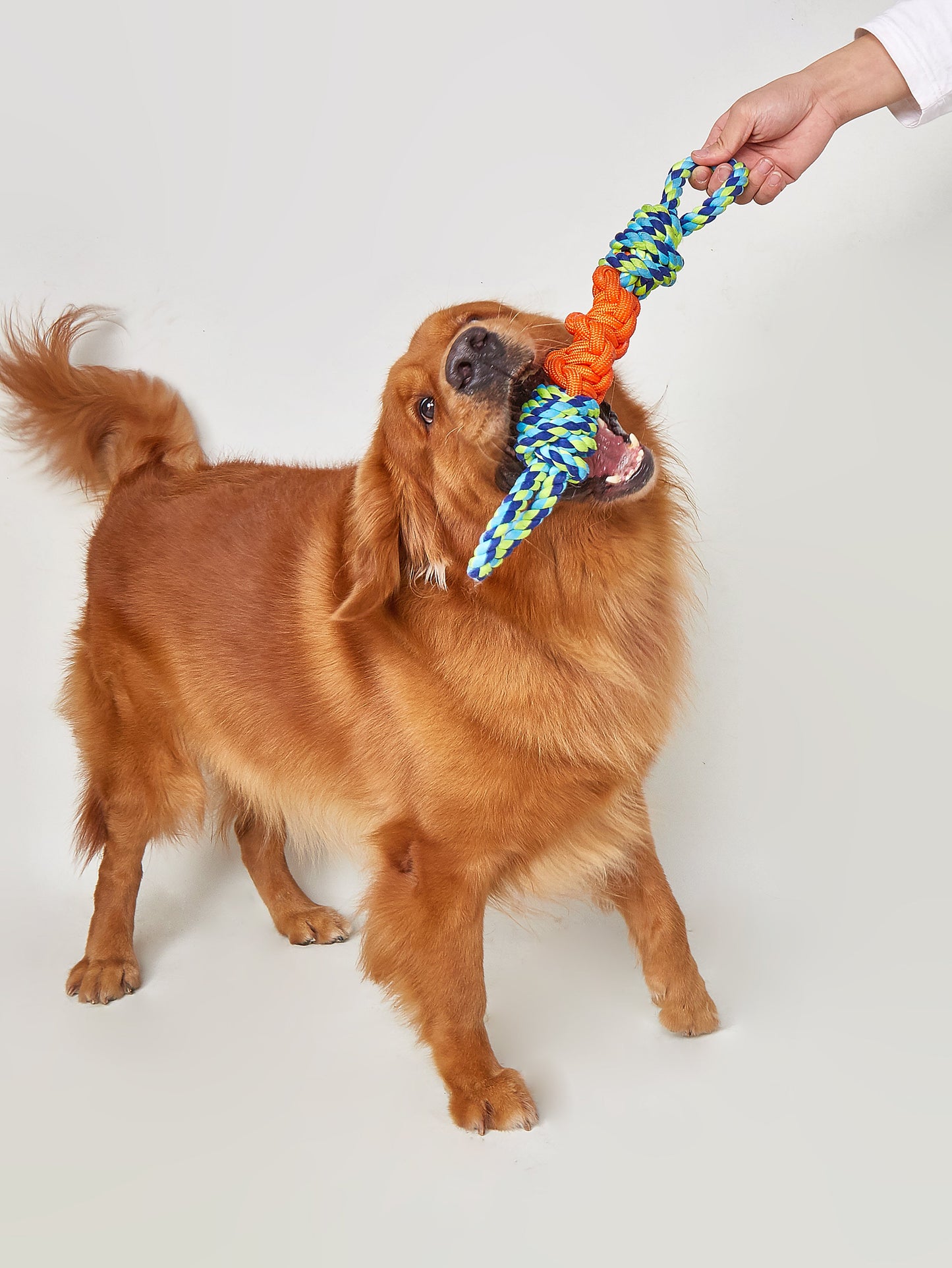 FOFOS Flossy Rope Dog Toy