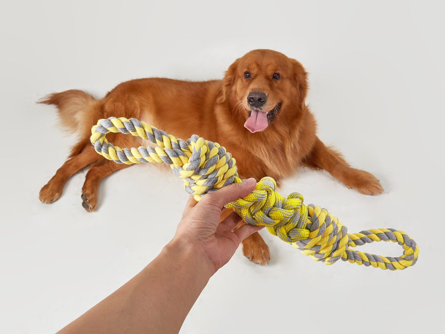 FOFOS Flossy Rope Dog Toy