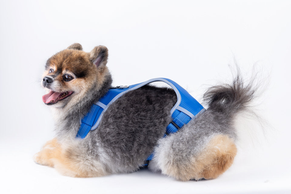 Dog Harness for pets