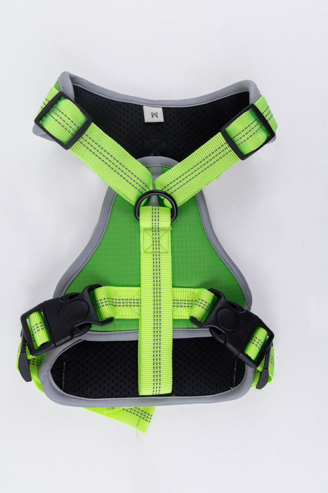 Dog Harness different colors