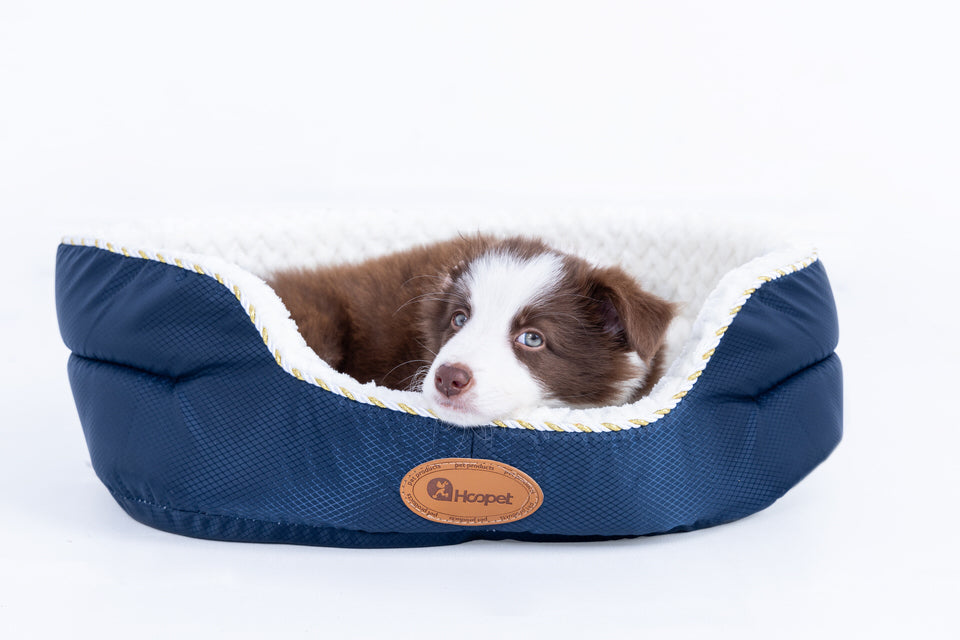 Cama para mascotas azul 