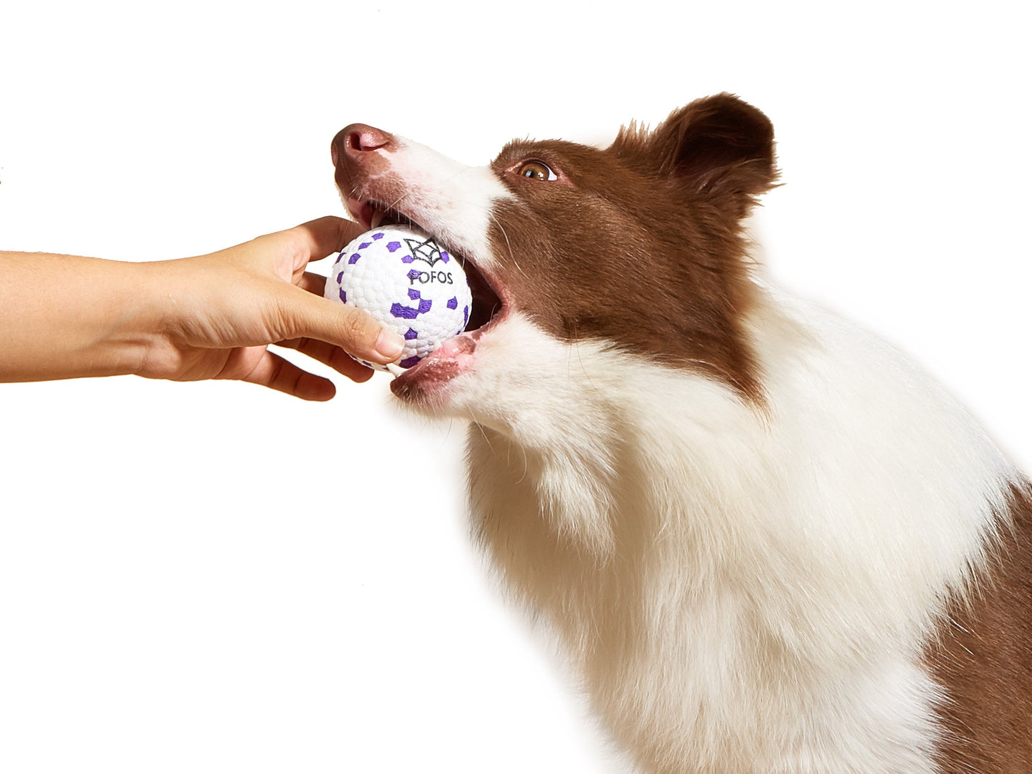 FOFOS Ultra-Durable Dog Ball-W/P