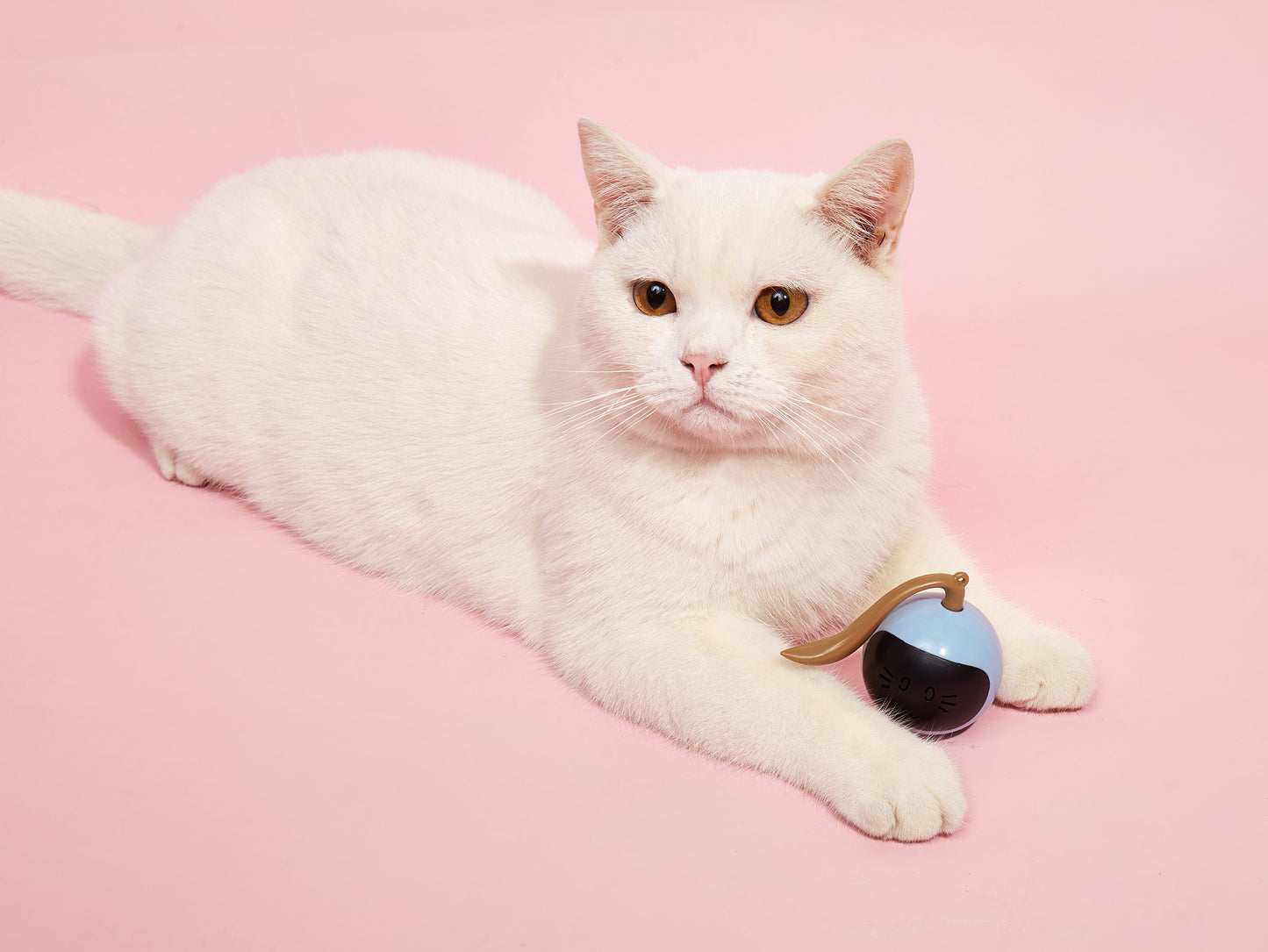 FOFOS Magic Ball Cat Toy