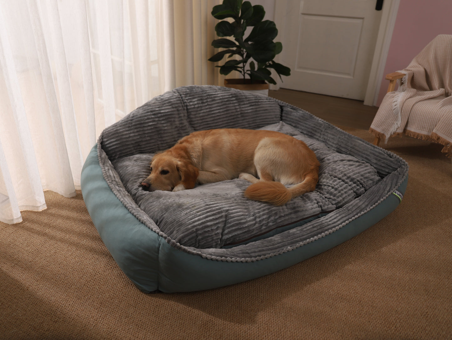 cama gruesa para perros